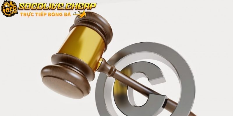 Mọi truy cập tại Socolive đều được bảo vệ an toàn