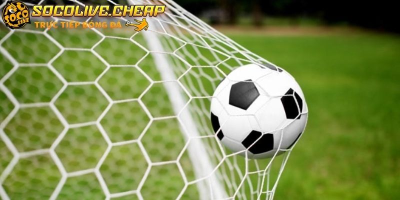 Người chơi dùng kết quả tại Socolive để kiểm tra diễn biến trận đấu