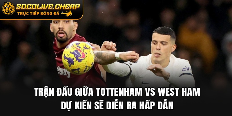 Trận đấu giữa Tottenham vs West Ham dự kiến sẽ diễn ra hấp dẫn