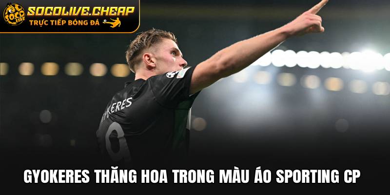 Gyokeres thăng hoa trong màu áo Sporting CP